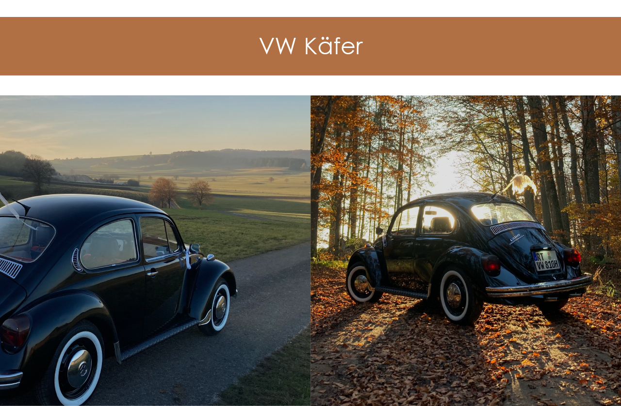 Oldtimer - Restaurierter Bully Bus von Coby