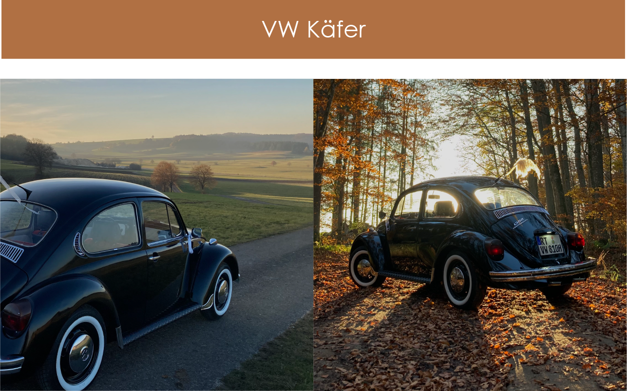 Aufbereitung VW Käfer 1300